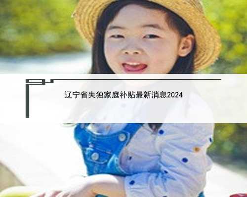 辽宁省失独家庭补贴最新消息2024