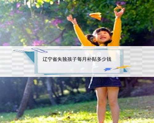 辽宁省失独孩子每月补贴多少钱